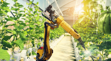 Ein Roboter Arm in einem Gewächshaus